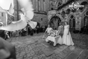 Hochzeit-Paar-Braut-Bräutigam-Brautkleid-Hochzeitskleid-Anzug-Tauben-Herzen-Gäste-Feier-Schloss